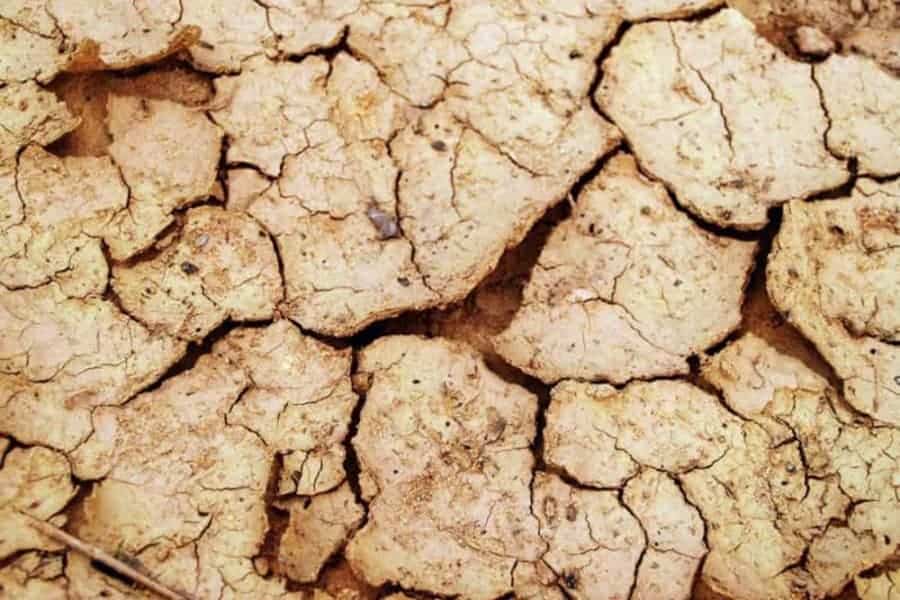 Dry Skin: An Intro Guide for Men