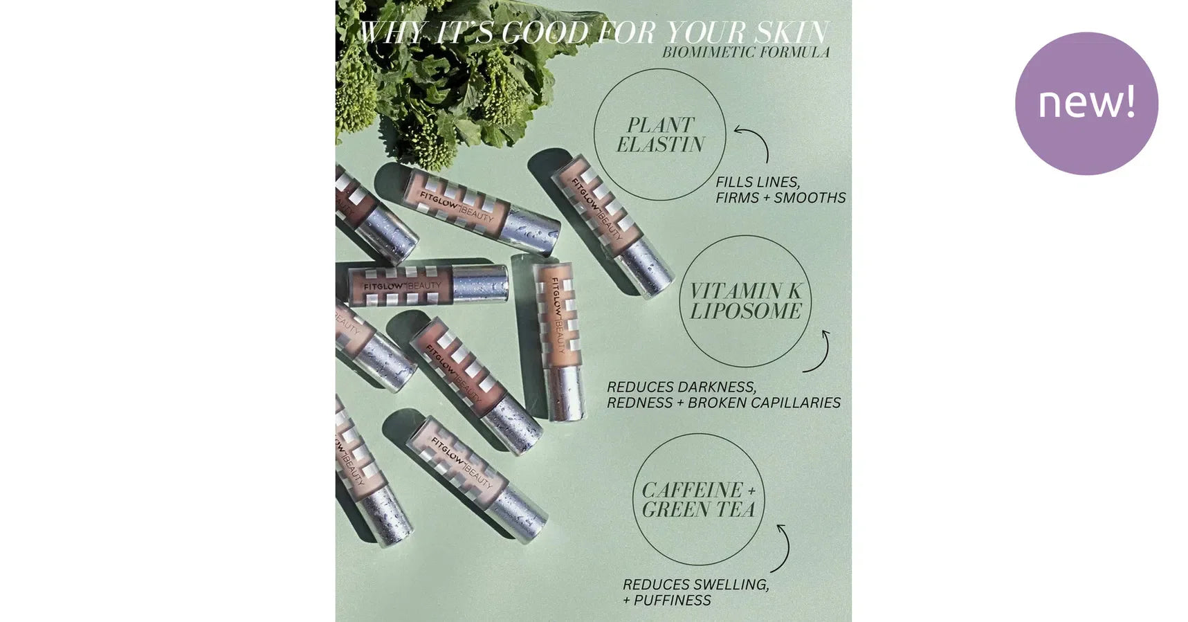 Fitglow Conceal + C3.5 (6g)