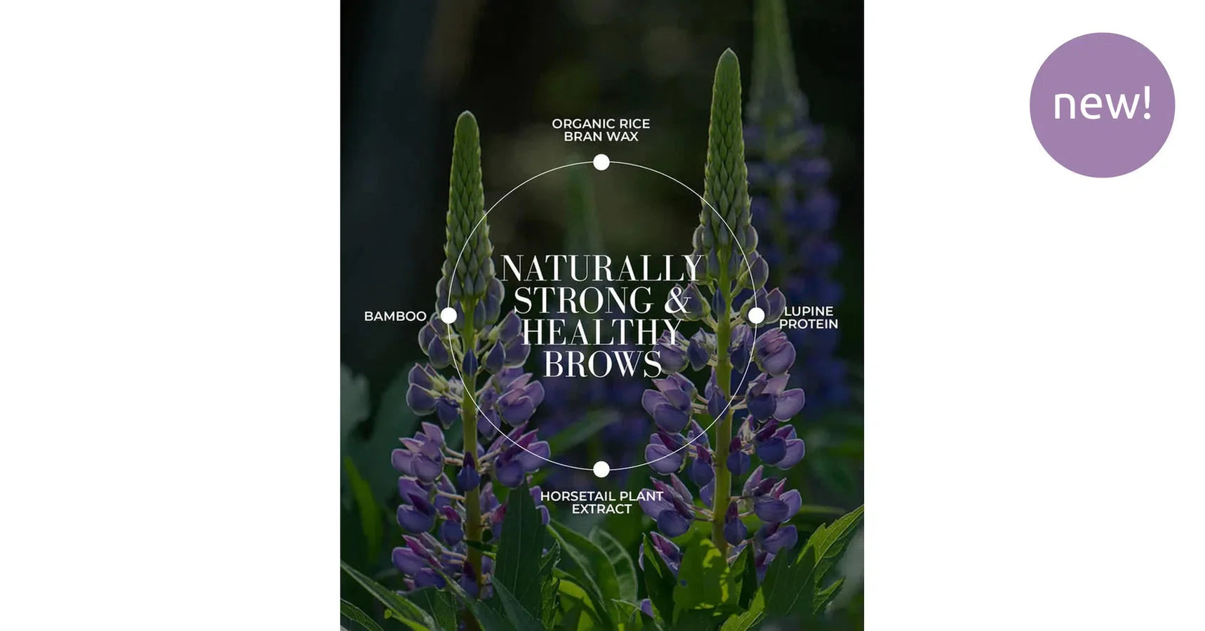 Fitglow Plant Protein Brow Gel - Medium Brown (4g)